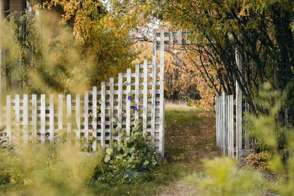 Why Yard Spotting Services Boost Supply Chain Efficiency