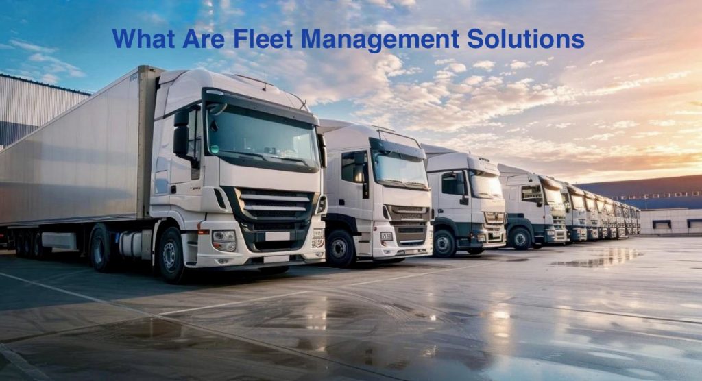 What are Fleet Management Solutions
