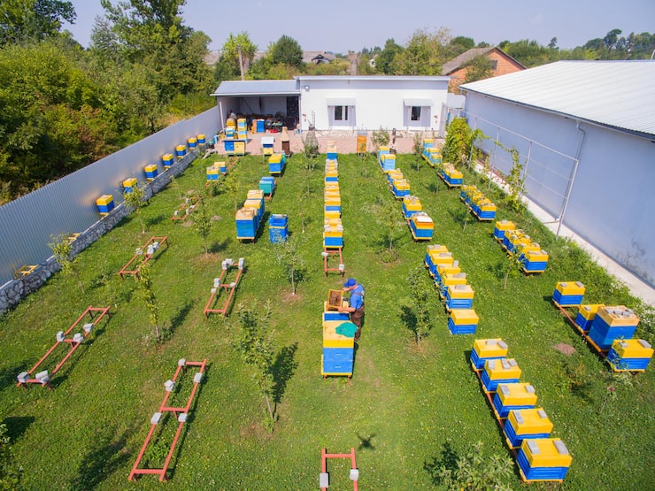 Yard Management Services