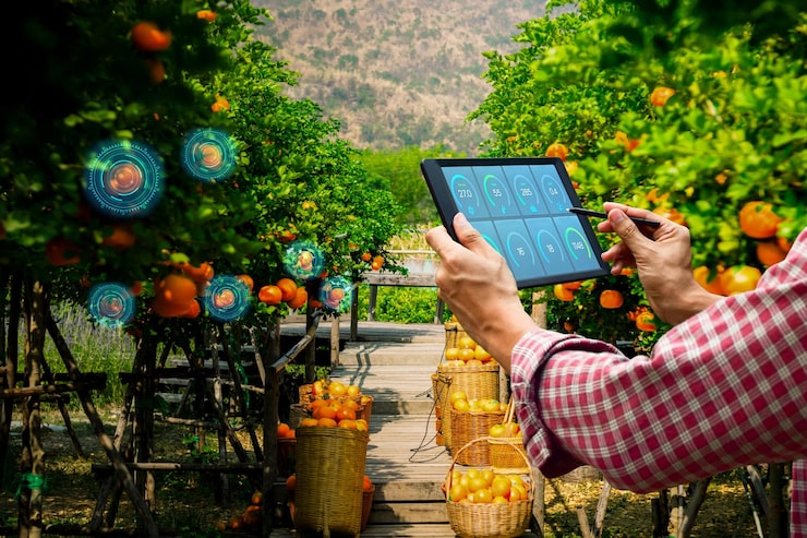 Predictable Yard Operations: Why Zelo Express LLC Brings More Control